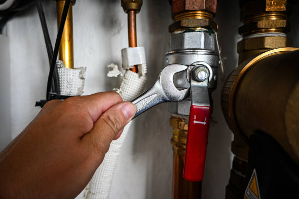 Best 24-Hour Plumber Near Me  in Bismarck, MO